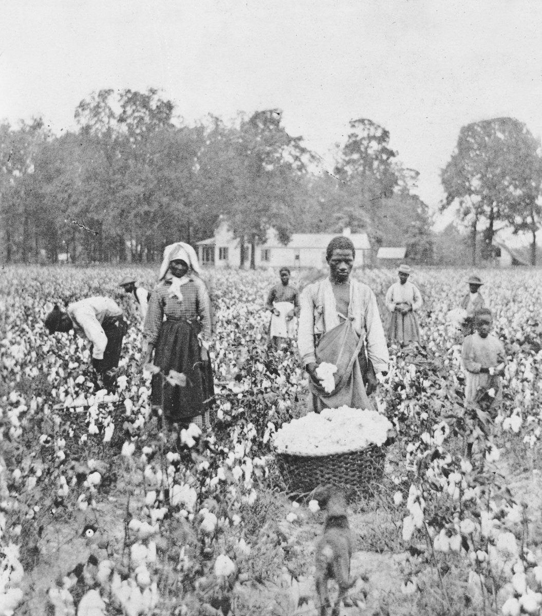 not_assange's tweet photo. Democrats (1860): what would we do without our slaves? Who would pick the crops?!
Democrats (2023): what would we do without our slaves? Who would pick the crops?!

I know democrats like to claim "tHe ParTiEs SwiTcHEd" but 170 years later, and Democrats still sound like Democrats https://t.co/8U9aAxgTAF