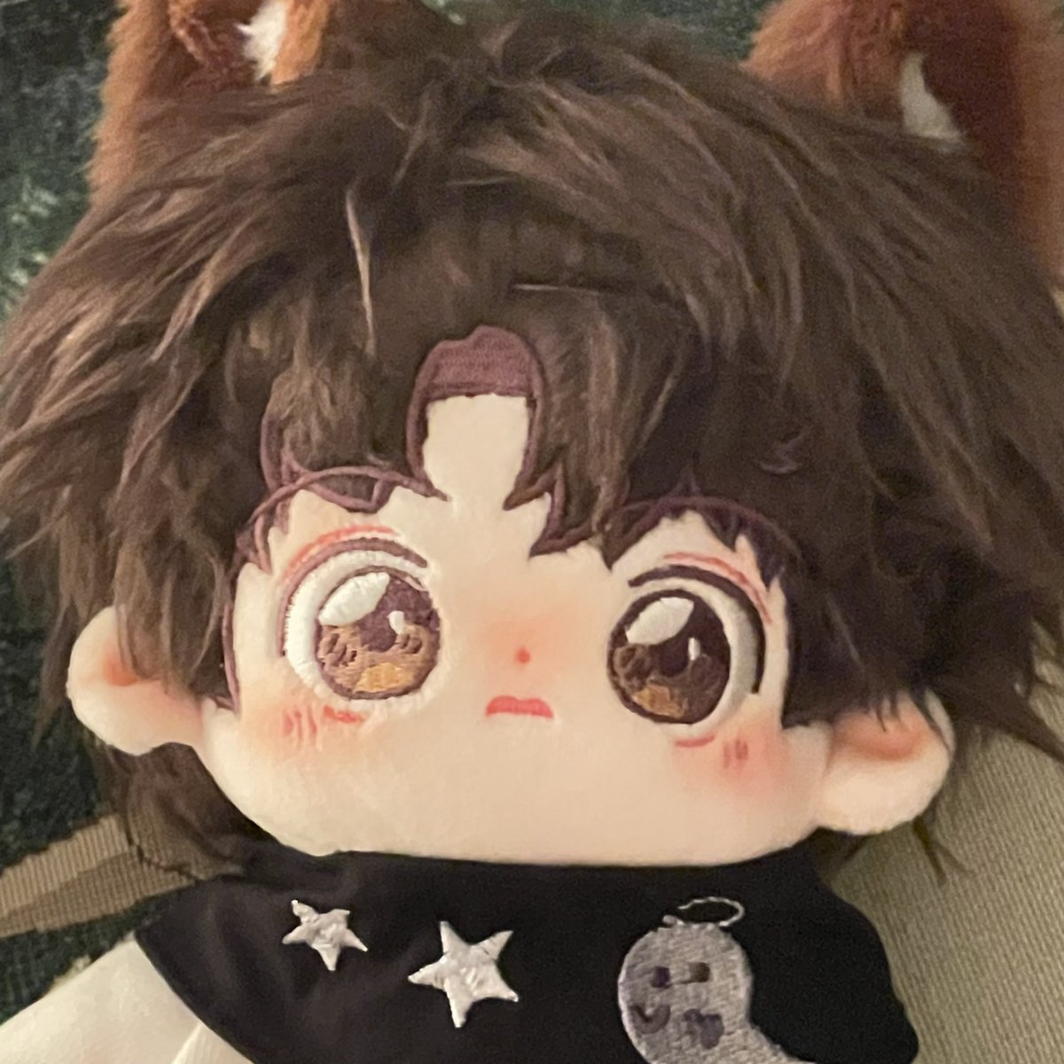 제가 최근에 들인 솜이랍니다,, 기엽죠