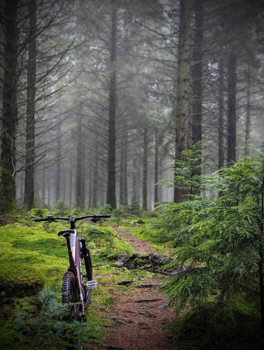 gazwagon's tweet photo. A couple more from today. Real mudfest but good to get out. #mtb #cycing #exmoor https://t.co/1uoQcdnXtM