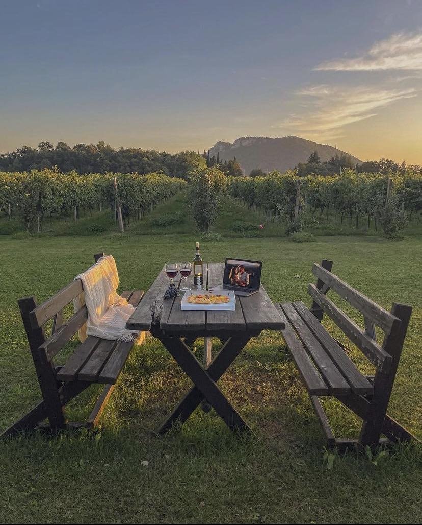 vineyard view