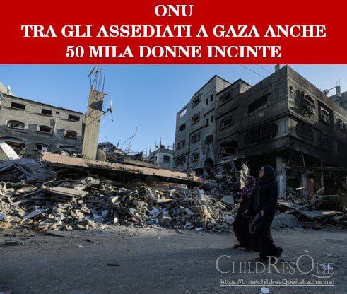 ANNACippiu's tweet photo. 🆘VITE DA SALVARE🆘
Tra le 2,2 milioni di persone presenti nella Gaza assediata, ci sono circa 50.000 donne #incinte, 5.500 delle quali dovrebbero #partorire nelle prossime settimane.
#Fondo_delle_Nazioni_Unite_per_la_Popolazione #Unfpa riferisce:
"Stiamo lavorando 24 ore su https://t.co/zkWvxjLkpj