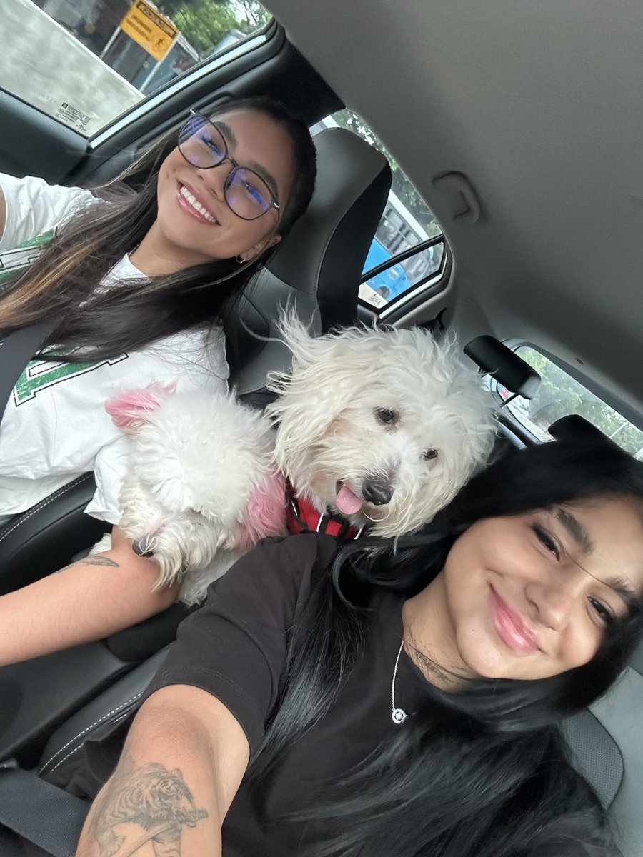 pura gente homosexual, menos yo 😜🖤🏠