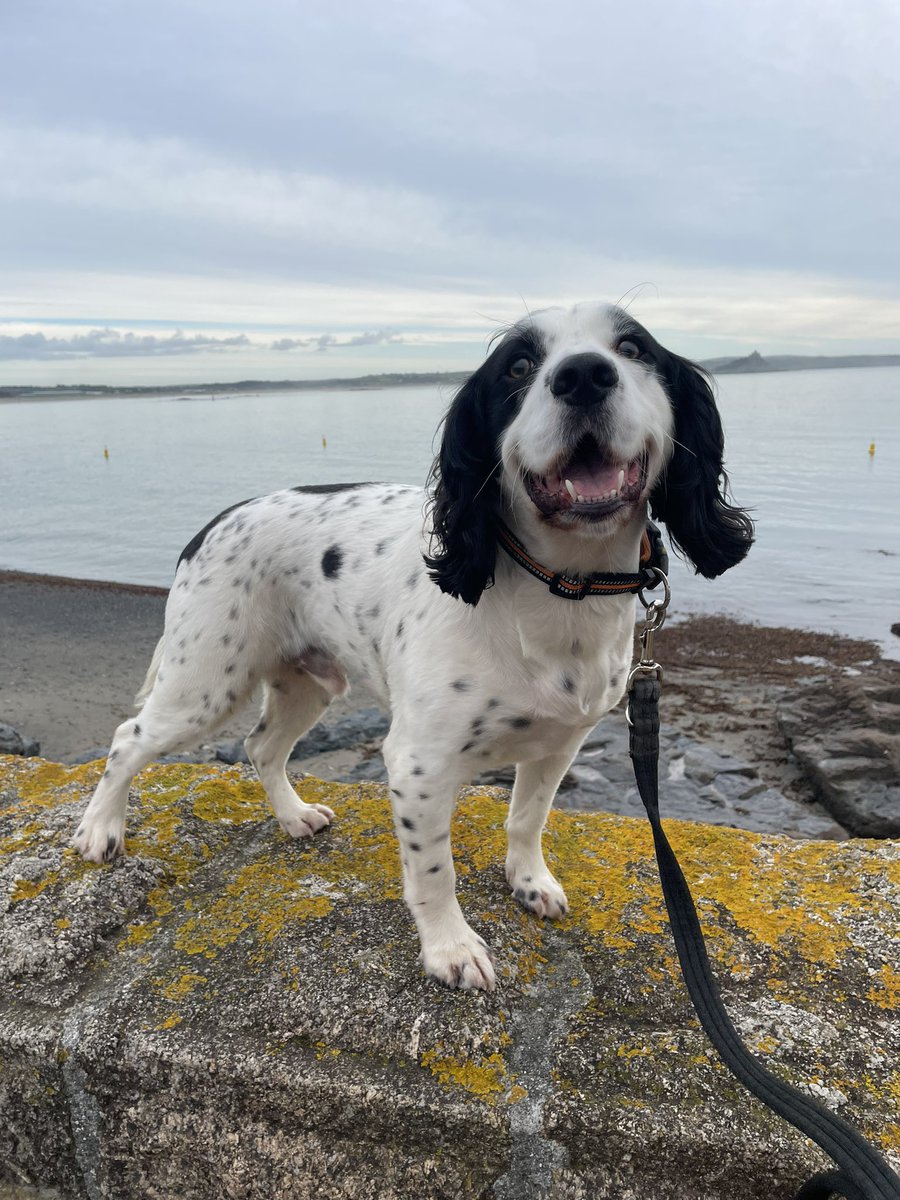 One of my favourite things to do to unwind is to get my steps in whilst admiring a view 😍 #occupationalbalance