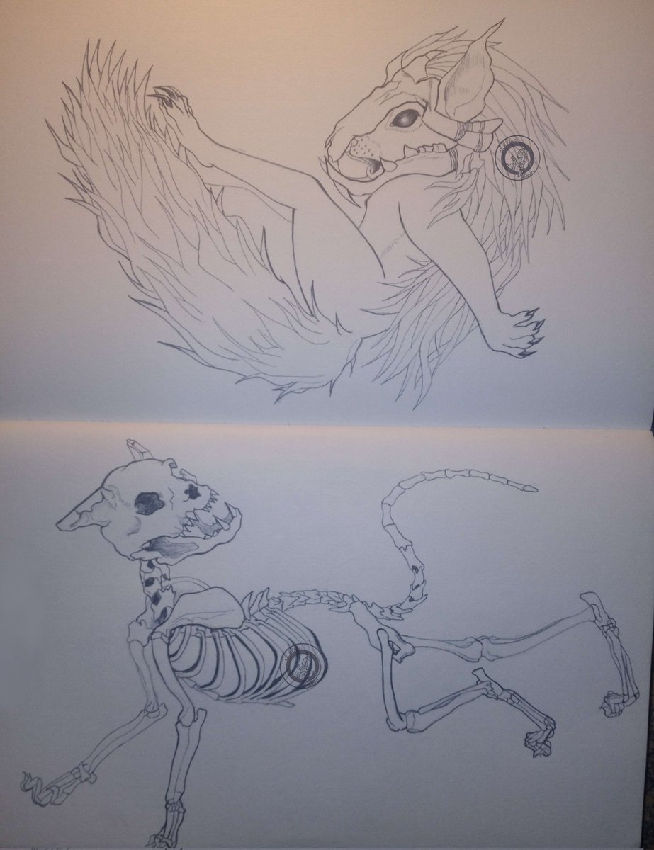 illiacgen's tweet photo. This is the no word version of my #divinityoriginalsin2fanart of #sirlora.
.
.
.
#divinityoriginalsin2 #squirrel #skeleton #catskeleton #Fanart #ArtistOnTwitter #art #artwork #artbook #traditionalart #traditional #pen #penandink #ink #penmanship #Cat https://t.co/AIJm1ItUZ9