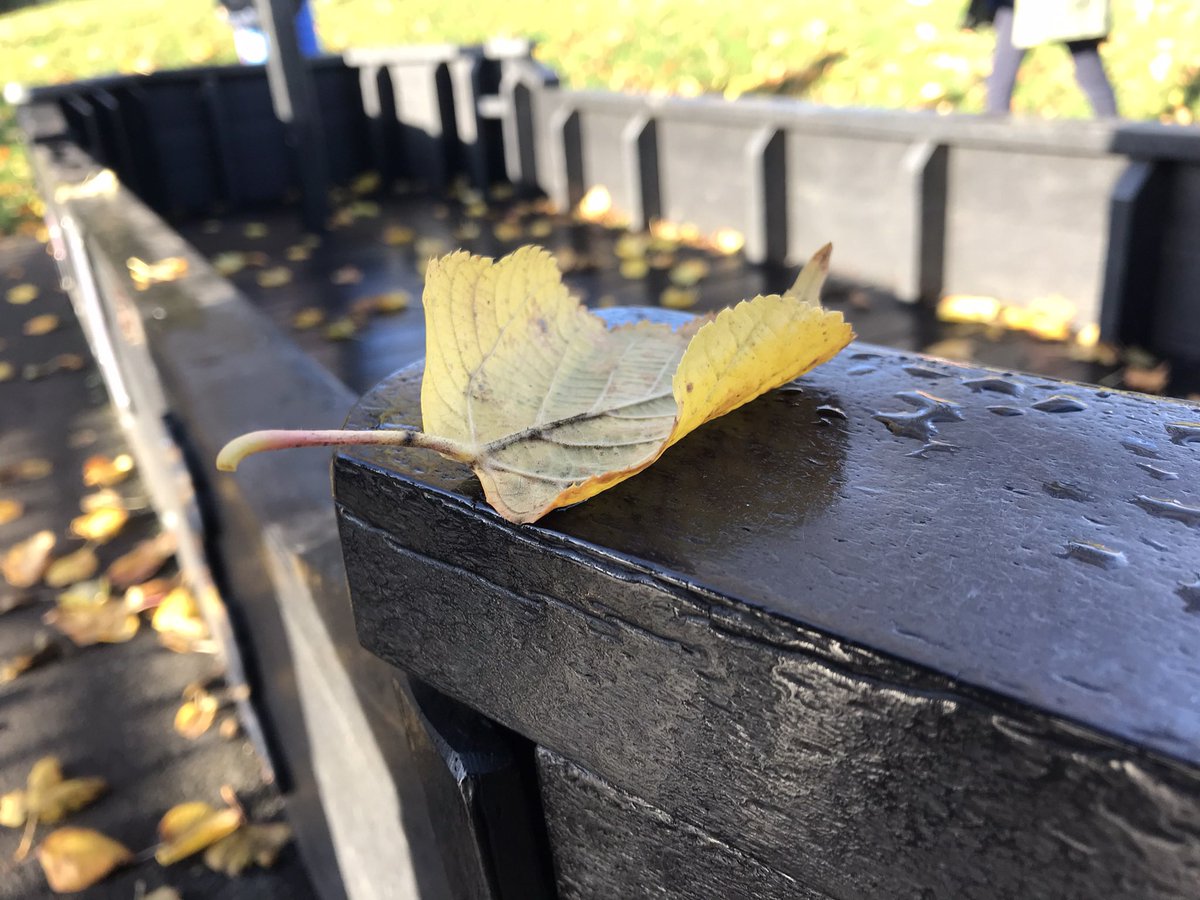 Computing_4Kids's tweet image. Some of the pictures that Year 2 took during their photography topic. Giving it a purpose improved focus and evaluation of their work @WeAreComputing #year2 #photography