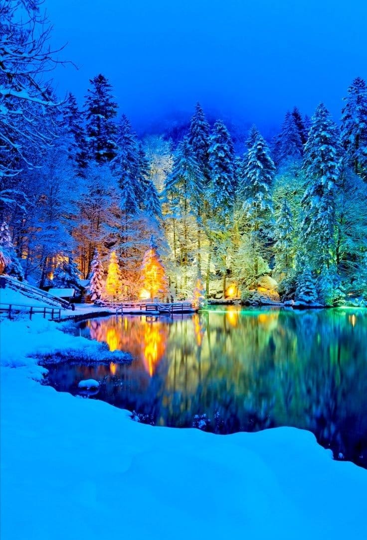 Julies_smithh's tweet image. ❤️ #TwitterNatureCommunity #NaturePhoto ❤️