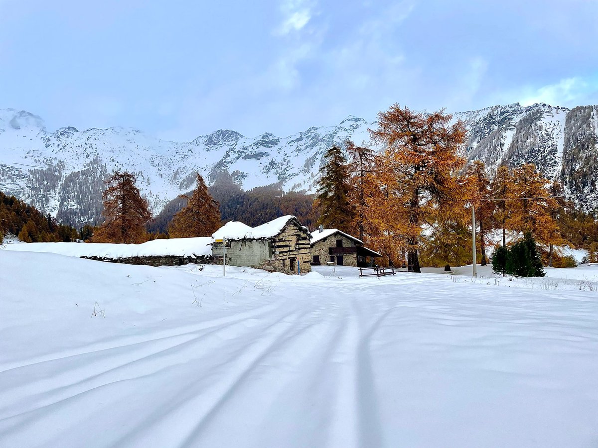 MaxMart4810's tweet photo. Champcombre #vallondesaintbarthélemy #nus #valledaosta #valléedaoste #novembersnow #inaltoorg https://t.co/RBZssVHg41