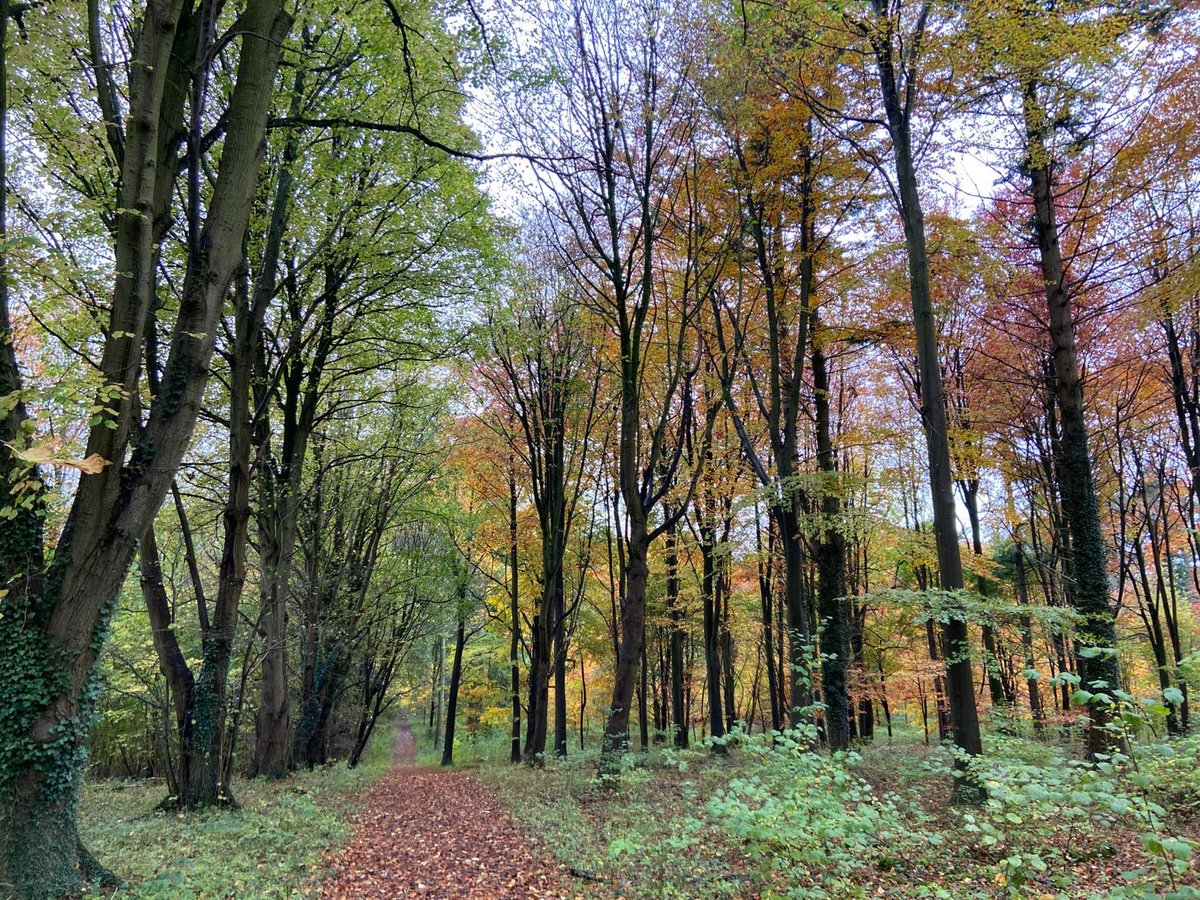 Charlotte Robinson tweet media