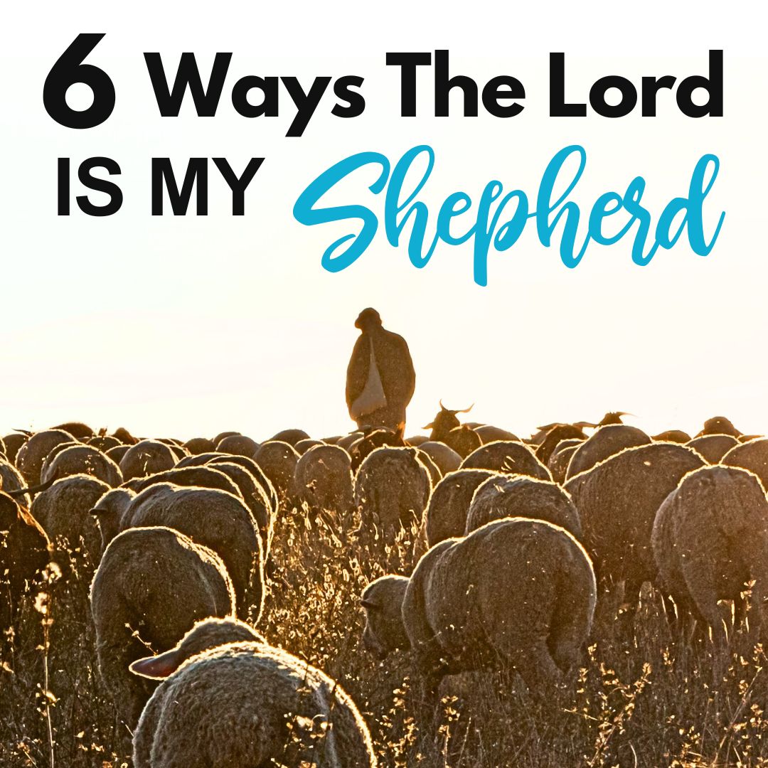 The Lord is our Shepherd, in the past, present, and future. This should resonate within our hearts on how we can find true contentment. If we have God on our side, that's all we need.
moneywisesteward.com/the-lord-is-my…