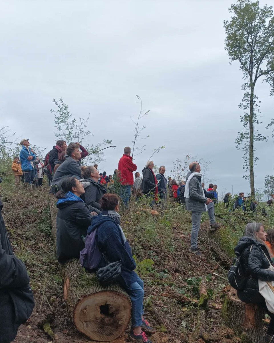 lrgsansbitume's tweet photo. Il aura fallu la venue de 300 personnes et l'intervention de @KarenErodi auprès du @prefet81 pour pouvoir leur fournir ce qui leur manquait depuis trois jours ! Soutien @revadesarbres, et aux deux autres courageux écureuils. 
#soutienauxecureuils #droitsdelhomme #stopbitume #A69 https://t.co/epJ1c587UT