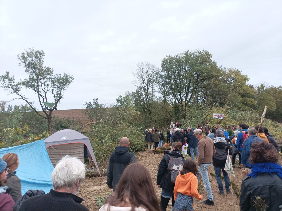 lrgsansbitume's tweet photo. Il aura fallu la venue de 300 personnes et l'intervention de @KarenErodi auprès du @prefet81 pour pouvoir leur fournir ce qui leur manquait depuis trois jours ! Soutien @revadesarbres, et aux deux autres courageux écureuils. 
#soutienauxecureuils #droitsdelhomme #stopbitume #A69 https://t.co/epJ1c587UT