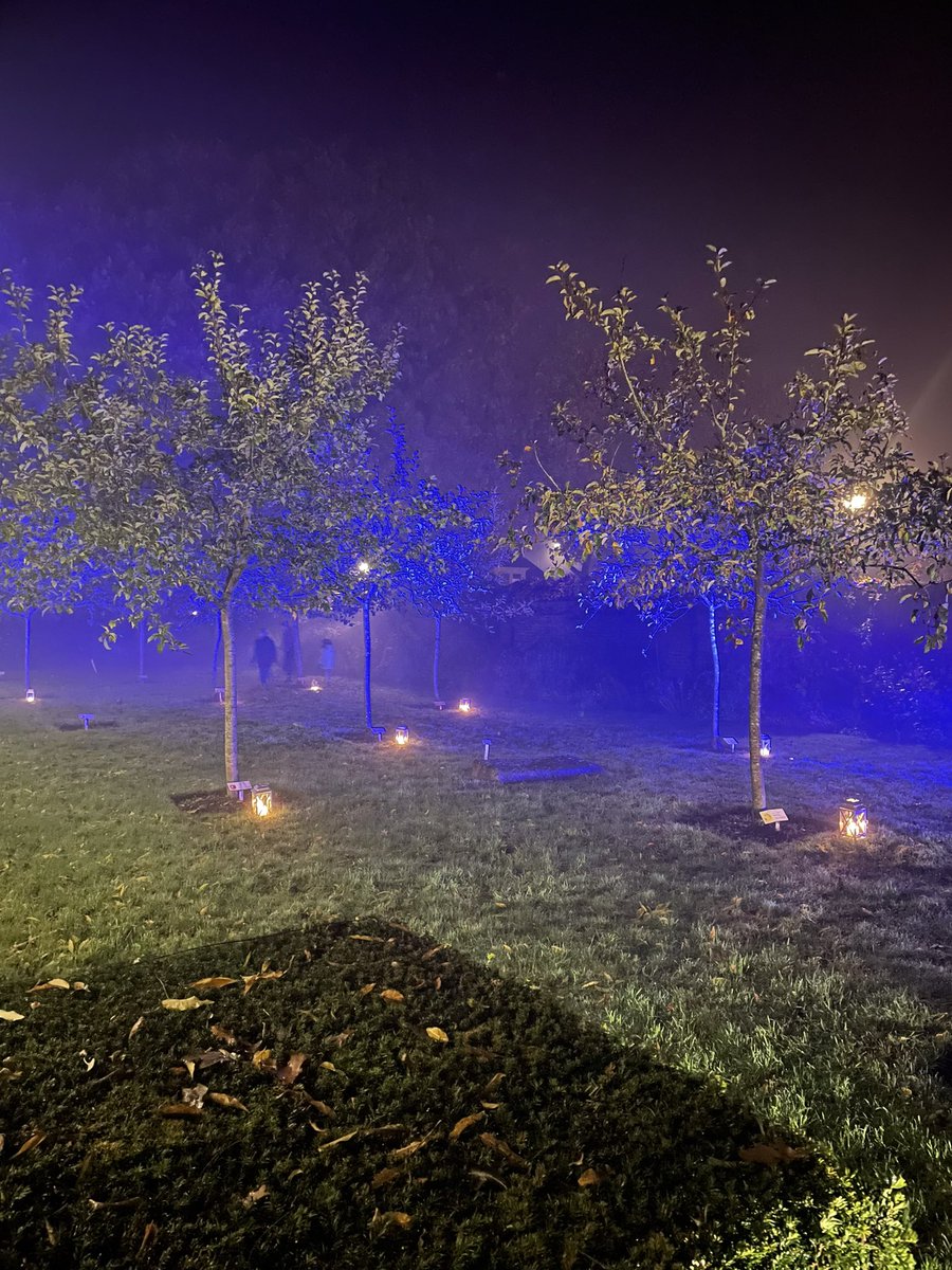 Wauw 😍 honderden bezoekers hebben de afgelopen dagen de weg gevonden naar “Schitteringen”…de tuin verlicht
@MuBuPla #museumdebuitenplaats #eelde #gemeentetynaarlo #schitteringen #detuinverlicht
