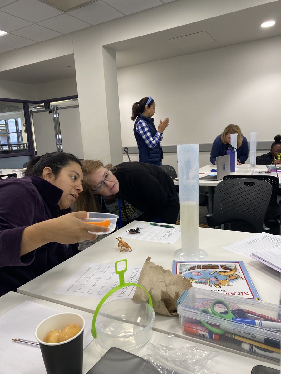 Sayda Chapa tweet media