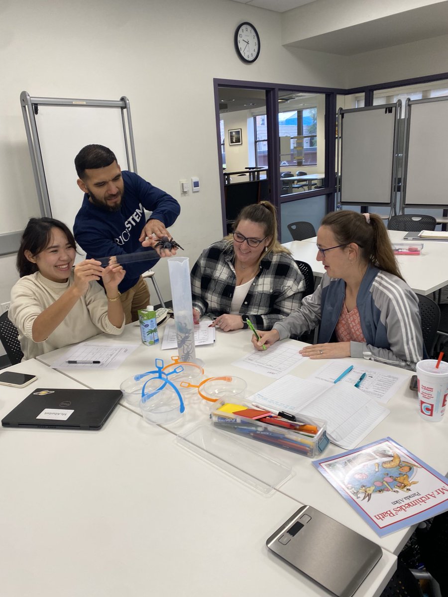 Sayda Chapa tweet media