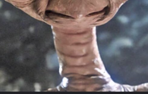 Ozzie welsh tweet media