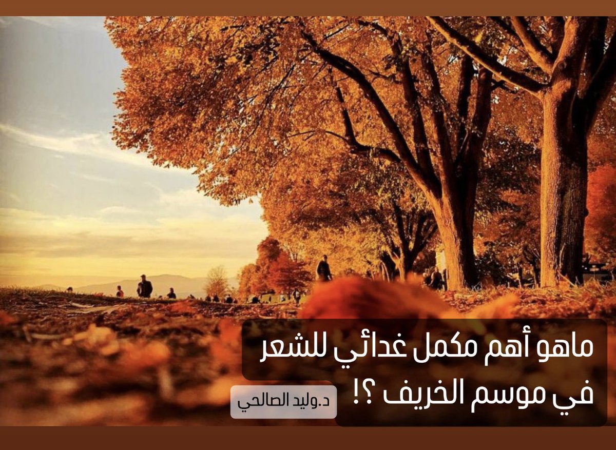 ماهو اهم مكمّل غذائي للشعر في فصل الخريف ؟! 🤔