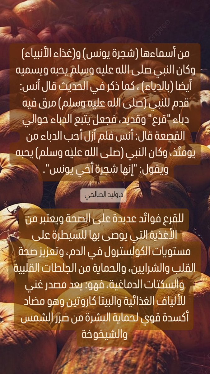 بنهاية الخريف (اكتوبر- نوفمبر) ينتهي موسم حصاد اليقطين (القرع) ، وبالاخص القرع العسلي 🎃

🟠 ☝🏻خلوني أذكركم بـ أهم فوائد 
1️⃣القرع و
2️⃣بذوره و
3️⃣زيته 
للشعر عشان نستفيد منه في موسمه:

🟠 القرع (اليقطين) يعتبر علميًا من الفاكهة، إلا أنه يشبه الخضار أكثر في قيمته الغذائية ، وهو من