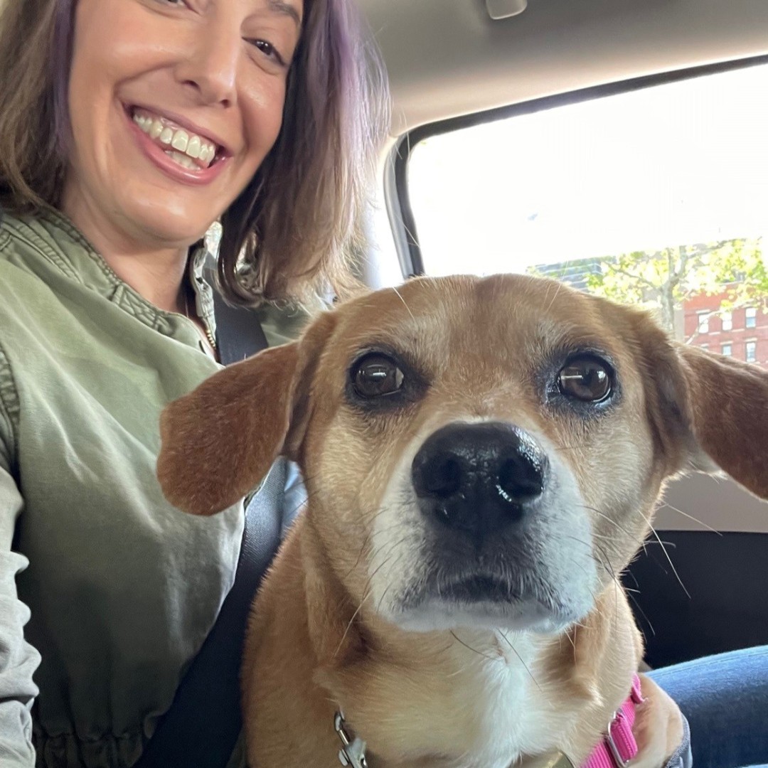 Happy #AdoptASeniorPetMonth ❤️ Find out how foster and adopter, Barrie is changing the lives of senior pets like Hailey and Loki 🐶 Read more here: bit.ly/47syDF2