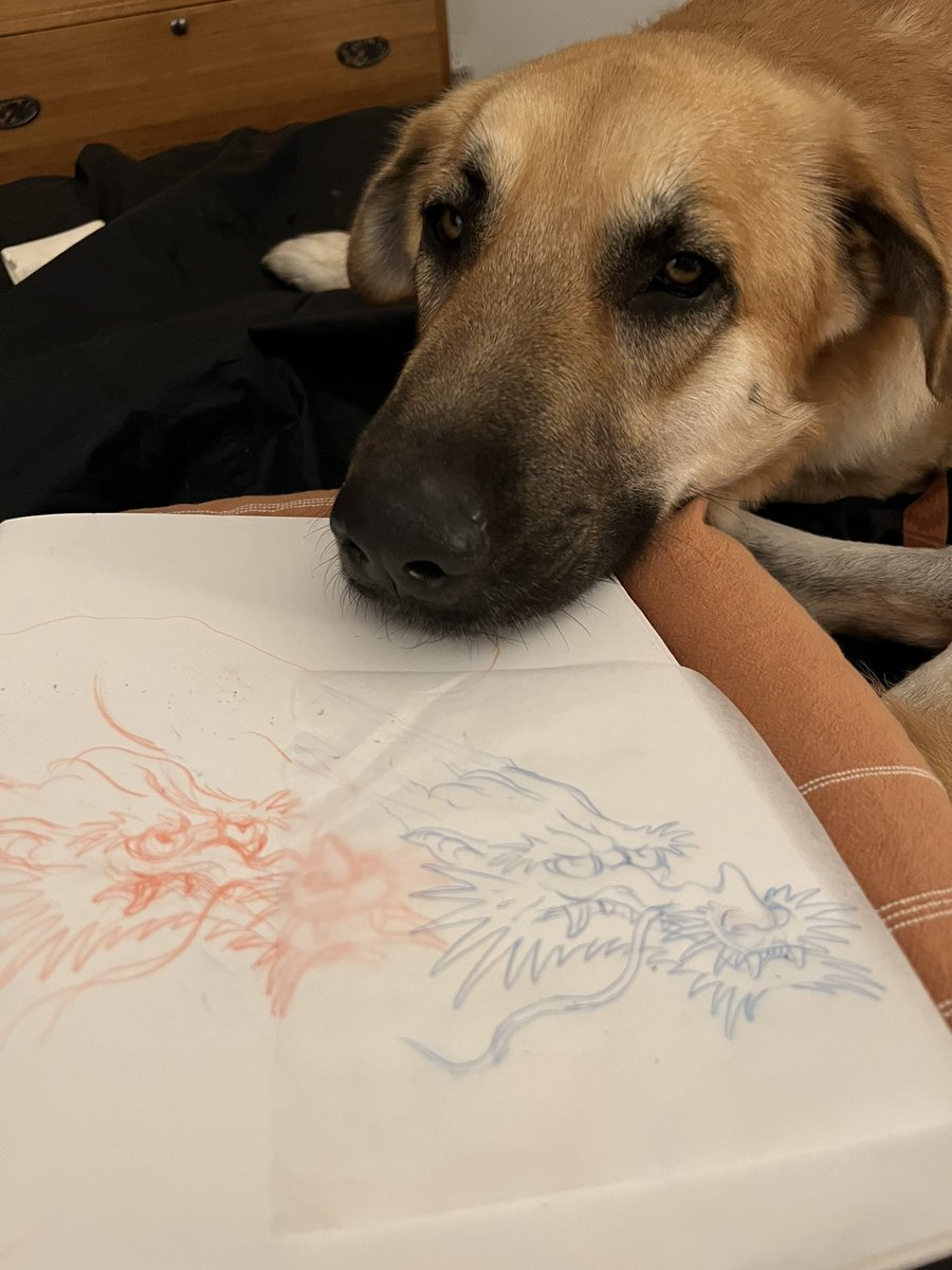 artpm's tweet image. 