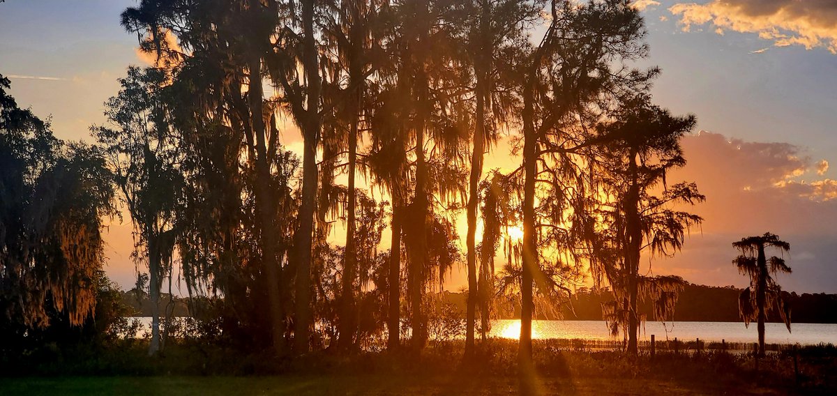 LIGAssets's tweet image. Wrapping up a great weekend, special thanks to Jim Gale and everyone associated with the @FFA_everywhere event. $LIGA is excited about the future of this new building models , in February we'll be showing you the final construction photos of these new buildings.