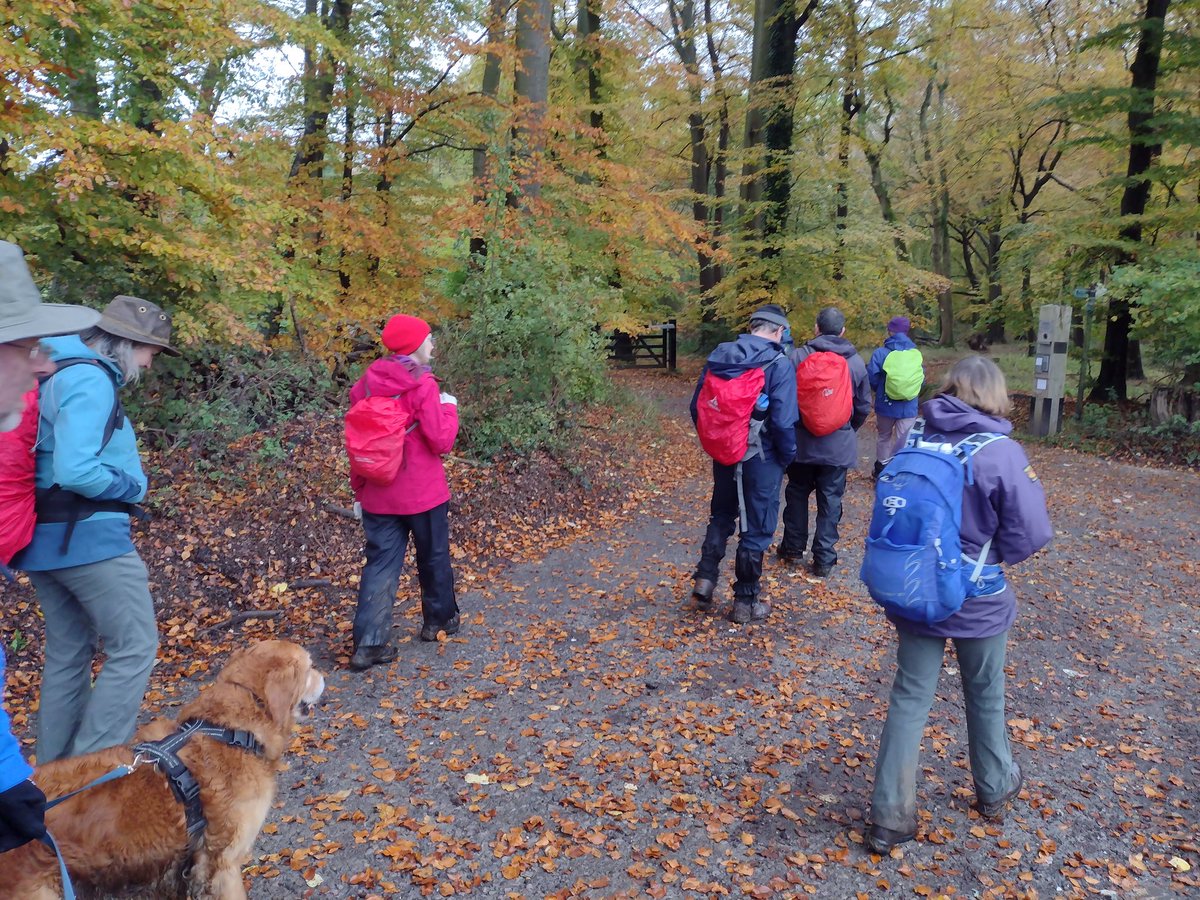 Oxon Weekend Walkers tweet media