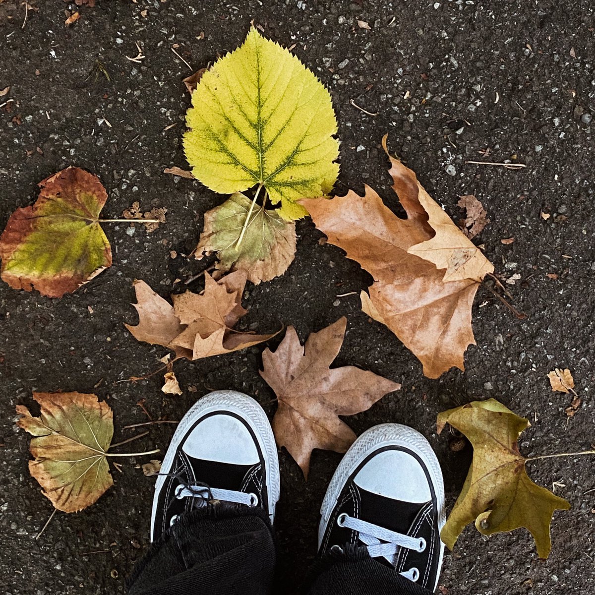 в. ☽ moons tweet media