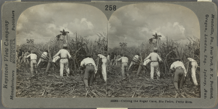 #PuertoRicanHeritageMonth: Explore archival images of #PuertoRico through our collections. Photographs span from 1865 through 1900. #SchomburgCenter ow.ly/7JOh50Q6qEs