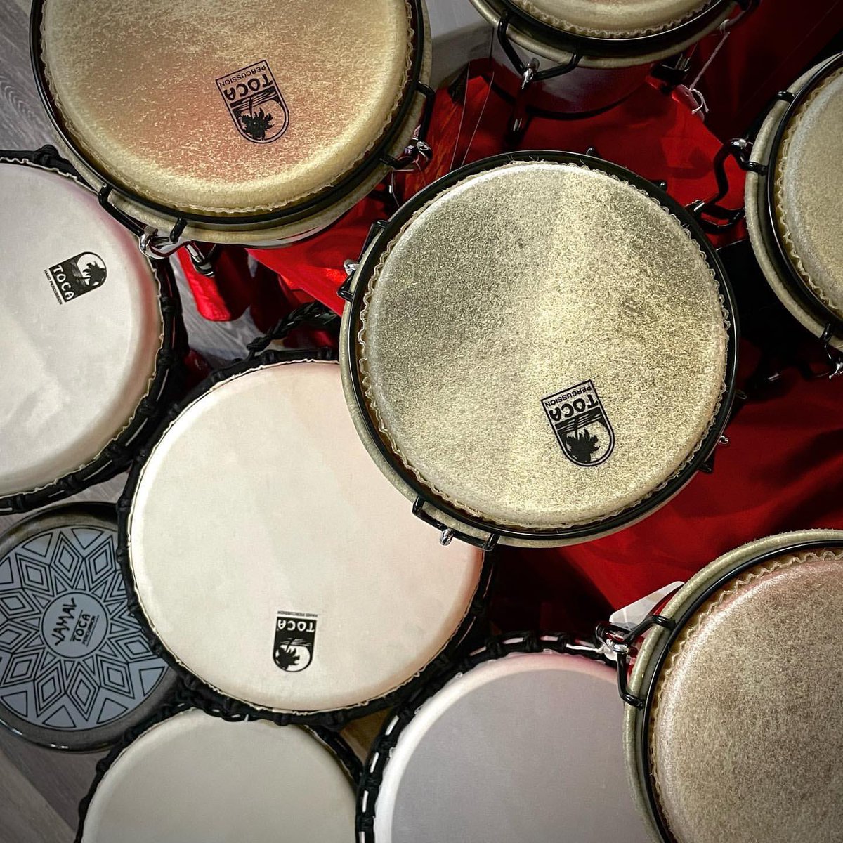 tocaperc's tweet photo. Drums for everyone!

#Repost @metronomemusic Toca Percussion just sent us all kinds of fun hand percussion instruments. #tocapercusion #metronomemusic #handpercussion #shopsmall #somosfamilia https://t.co/wpxf6VOJQZ