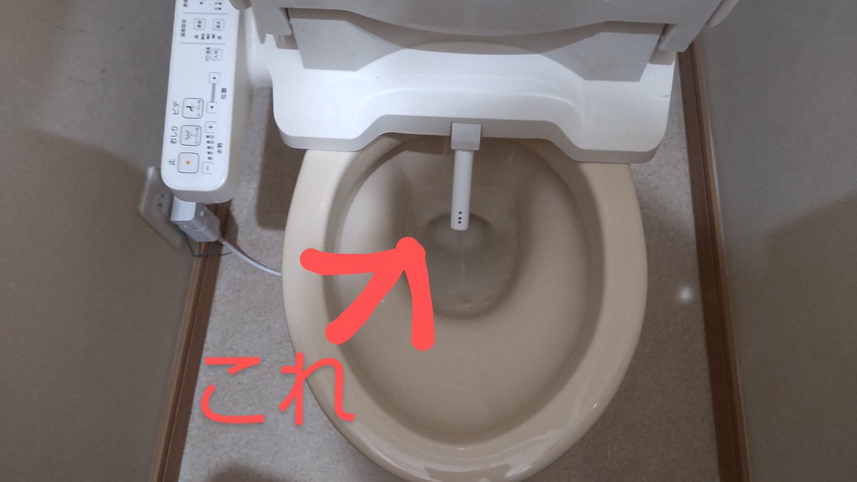 あなたの常識、試そう。

「ノズル掃除ボタン」

知っているよね？

あの、
シャワートイレのスイッチの中にあるやつ。

ボタンを押すと、
画像のようにノズルが出てきて、
「ちょろちょろ～っ」って
謎の水が流れ出す。

これの意味、
正しく理解できているかな～？

「えぇっ、そうだったの！？」