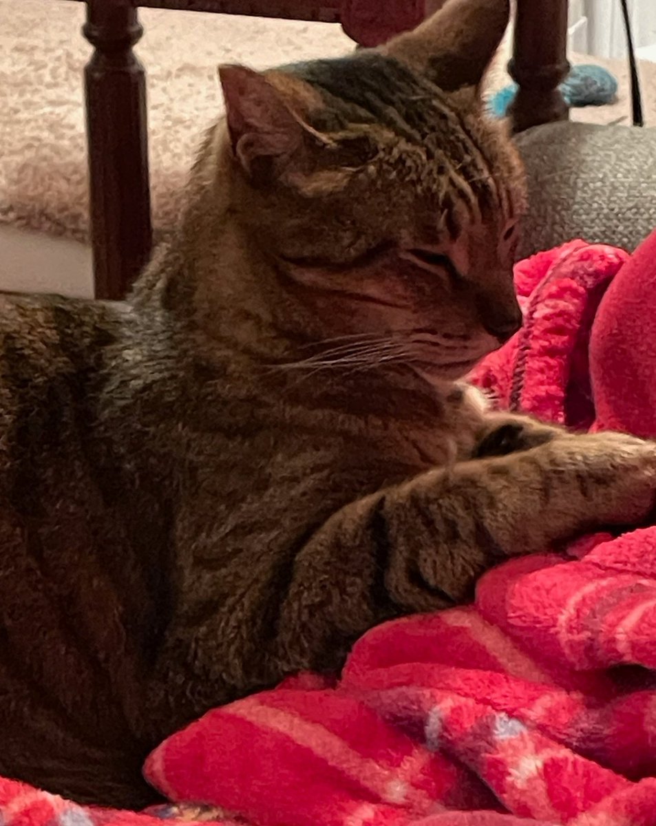 Kid Squiggy McGhee tweet media