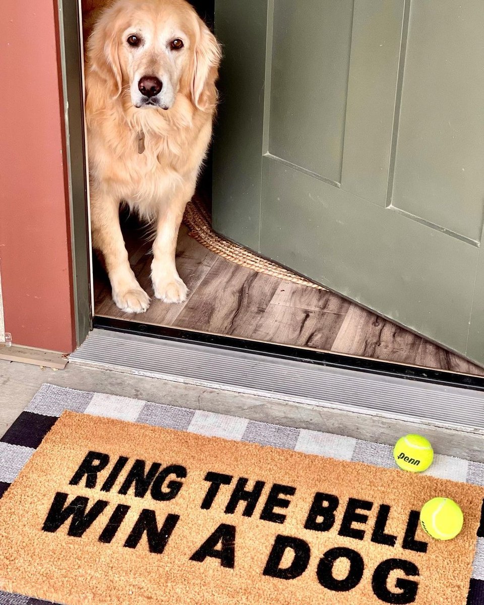 Ding-dong, woof-woof! Add a playful twist to your entrance. It's the conversation starter you've been looking for, and who knows, you might just hear a little jingle in response! 🐕❤️ ⁠
⁠
📸@utahpetaccess⁠