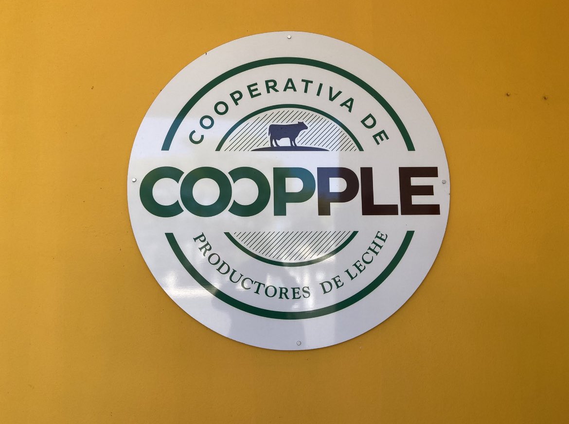 El Ecosistema Cooperativo Puertorriqueño comienza cuando apoyamos y promocionamos la producción cooperativa local. Les presento la leche Indulac sin lactosa. Los productores de la leche Indulac son #COPPLE y son una Cooperativa puertorriqueña. Vamos a apoyarla. 💪🏿🇵🇷💚🌲🌲#Indulac