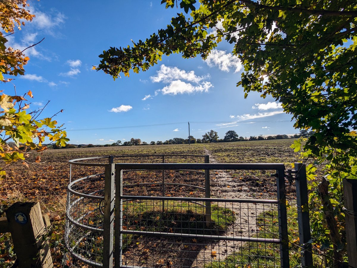 HertsWalker's tweet image. NEW: Walk 248: Redbourn South-East Loop - 5.2 miles. Free directions, maps, photographs, and GPX navigation files. #Hertfordshire #walking #freewalks #Hertfordshirewalker #HertfordshireWalks #walkingisfree
hertfordshirewalker.uk/2023/11/walk-2…