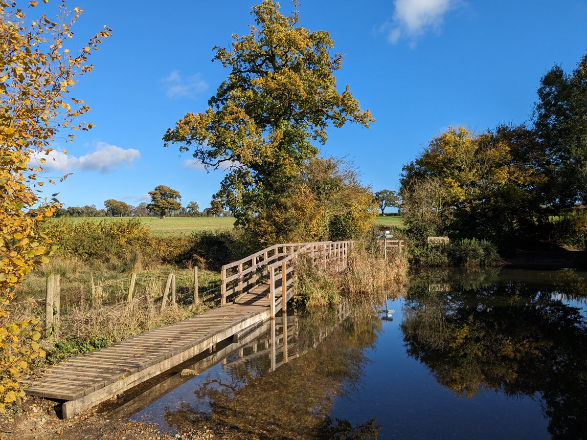NEW: Walk 248: Redbourn South-East Loop - 5.2 miles. Free directions, maps, photographs, and GPX navigation files. #Hertfordshire #walking #freewalks #Hertfordshirewalker #HertfordshireWalks #walkingisfree
hertfordshirewalker.uk/2023/11/walk-2…
