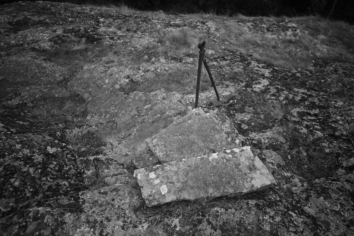 HomeWhenWalking's tweet image. 4887