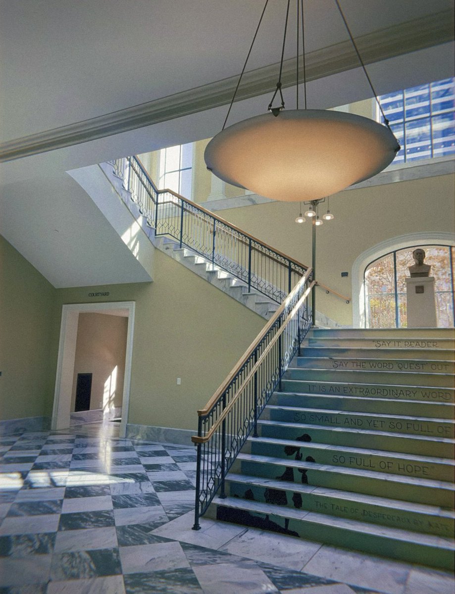 Tyler Sainato (she/her) tweet media