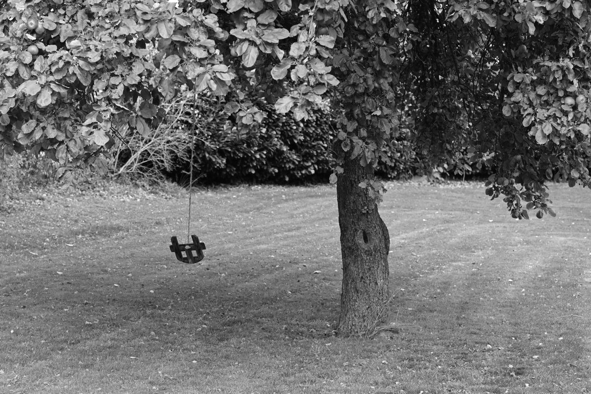 HomeWhenWalking's tweet image. 9276