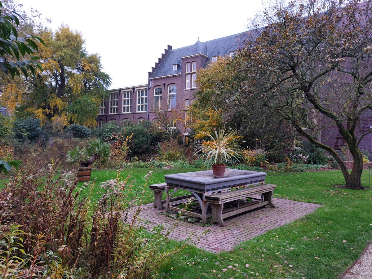 Autumn colours in the Oude Hortus, the botanic garden behind the University Museum Utrecht🍂 #UniUtrecht #Utrecht #autumn #garden