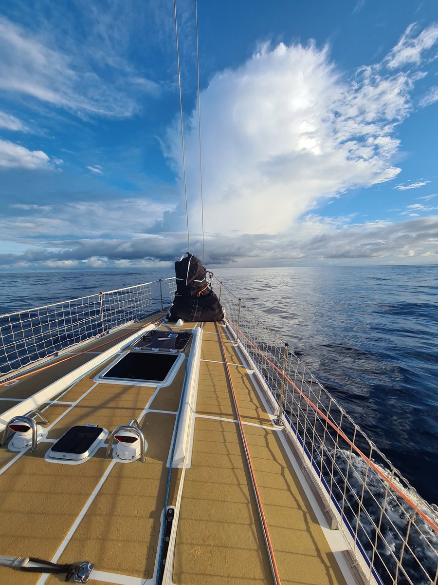 If any #mfltwitterati are seeking a new space to rebuild the network we worked so hard to create in this increasingly murky arena... there is a brighter place just over there... #bluesky