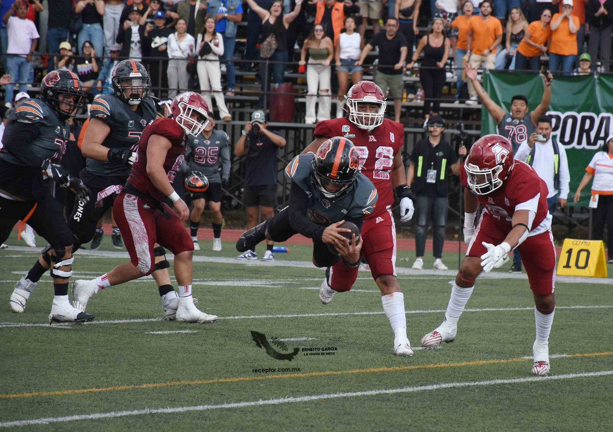 receptorcommx's tweet photo. La victoria más trascendente y emblemática de @LeonesAnahuacMx en Liga Mayor en TODA SU HISTORIA 👊🏼
Deberían ampliarla y que sea la entrada de su casillero 👀
Es una joya 💎 🏈 https://t.co/tLc2eb3j3A