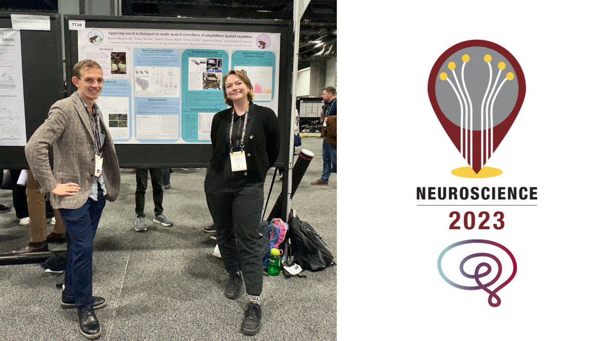 Neurotech alum and applied physics PhD student <a href="/graciouswoodsy/">grace</a> and biology grad student @dshakey18 of the Organismal Biology Lab share their research, supported by #WuTsaiNeuro, on amphibian spatial cognition at #SfN2023!