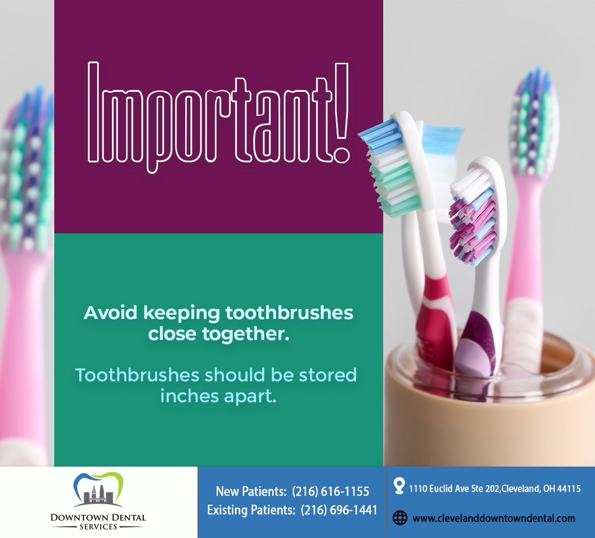 DowntownDental6's tweet photo. Storing multiple toothbrushes together can create a breeding ground for bacteria. If you live with multiple individuals, ensure that there are a few inches between each toothbrush. #toothbrushtip #downtownclevelanddental #cleveland #OH https://t.co/lNa8B4kI6S