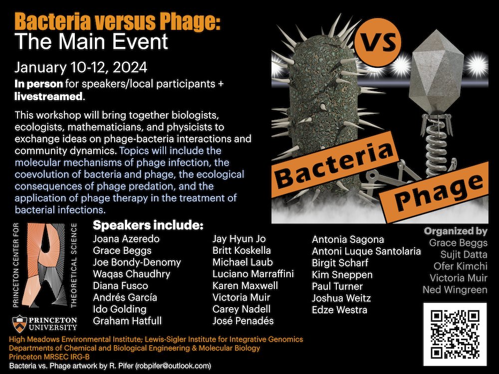 Phages are viruses that infect bacteria &amp; influence bacterial processes in agriculture, ecology, &amp; medicine.🦠

We are hosting a workshop to bring together biologists, ecologists, mathematicians, &amp; physicists interested in bacteria-phage interactions!

➡️ docs.google.com/forms/d/e/1FAI…