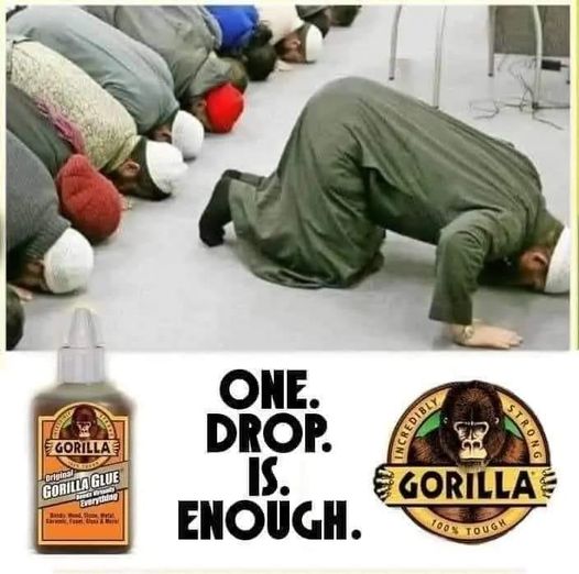 BrutusMaximusX's tweet image. #ProPalestinian #ProphetMuhammad #Palestine #IslamIsTheProblem #IslamIsBad #BanIslam 
Strong Stuff