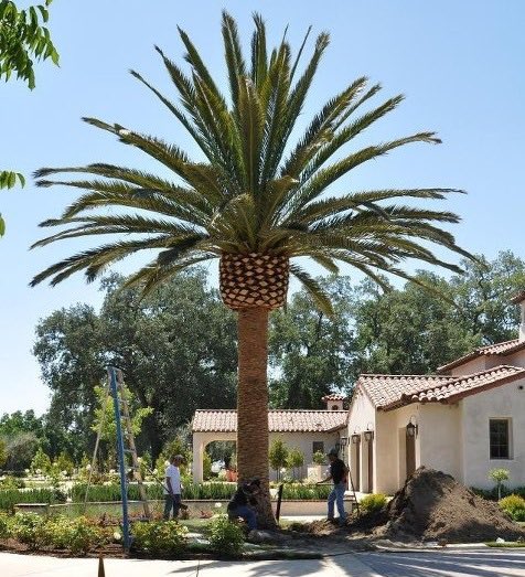 Landscape enhancement. What projects are you working on?