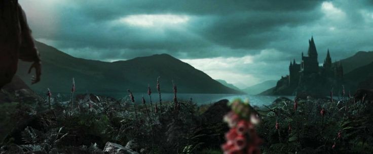 evrrmxry's tweet photo. l' aesthetic di questo film è pura arte 
#HarryPotter https://t.co/xdWXTCto8E