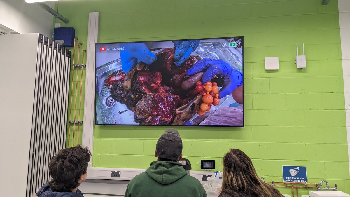 Darren Veitch tweet media