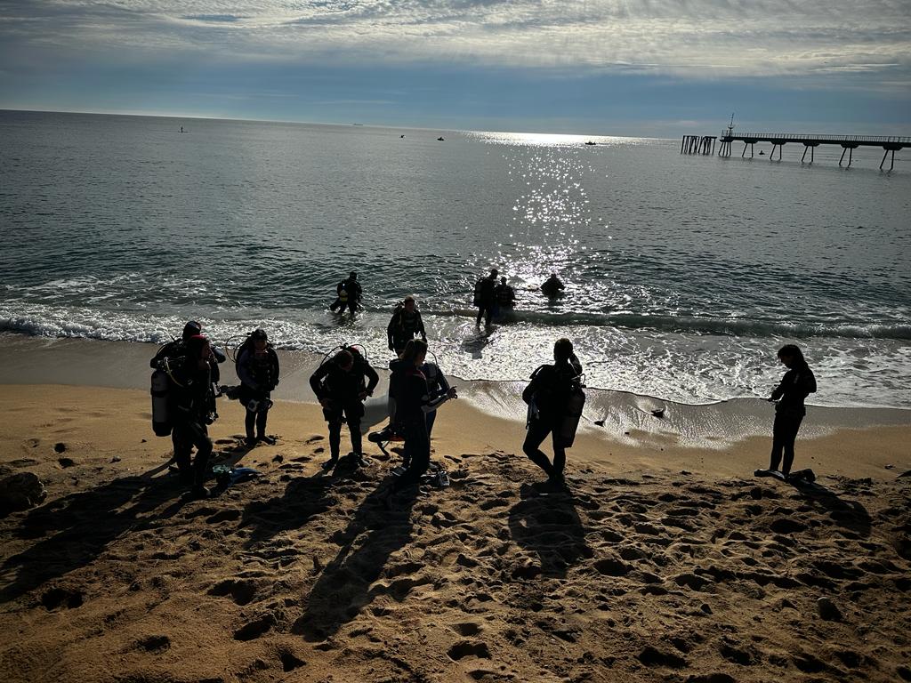 @sasbabdn (@sasbabdn) on Twitter photo El SASBA amb la <a href="/FECDAStwit/">Federació Catalana d′Activitats Subaquàtiques</a>, hem obert avui un punt d'observació ANERIS per censar la biodiversitat marina de la costa de Badalona, dins del @aneris_project.
Durant aquesta sortida hem fet fotografies que penjarem al portal de ciència ciutadana MINKA (@minka_catalunya).
#sasbabdn El SASBA amb la <a href="/FECDAStwit/">Federació Catalana d′Activitats Subaquàtiques</a>, hem obert avui un punt d'observació ANERIS per censar la biodiversitat marina de la costa de Badalona, dins del @aneris_project.
Durant aquesta sortida hem fet fotografies que penjarem al portal de ciència ciutadana MINKA (@minka_catalunya).
#sasbabdn