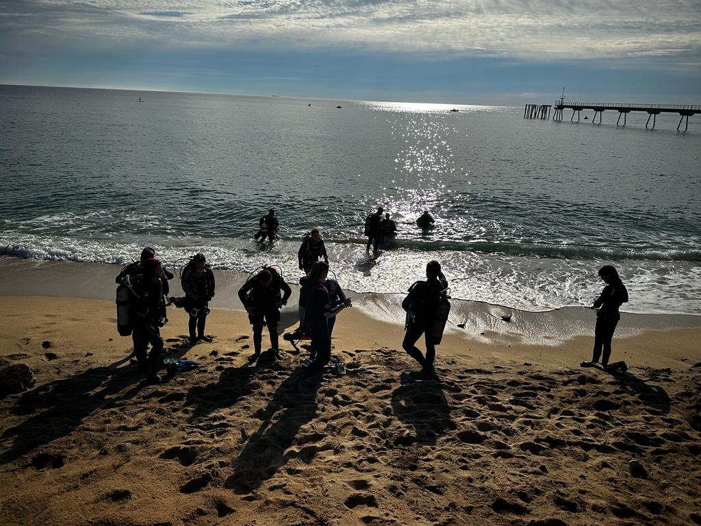 El SASBA amb la @FECDAStwit, hem obert avui un punt d'observació ANERIS per censar la biodiversitat marina de la costa de Badalona, dins del @aneris_project. Durant aquesta sortida hem fet fotografies que penjarem al portal de ciència ciutadana MINKA (@minka_catalunya). #sasbabdn