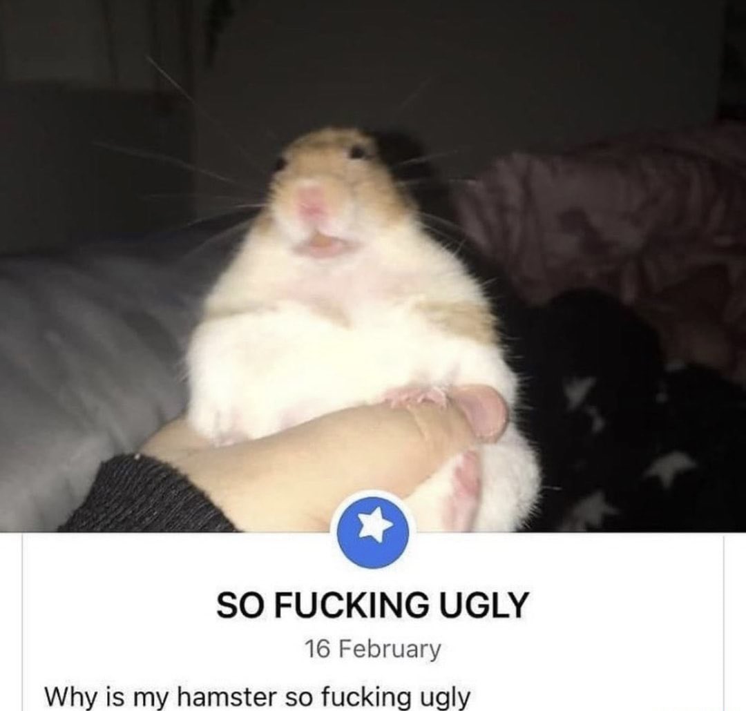 i wish sometimes that webttore was still relevant cuz i cant do this with prime hes too clean